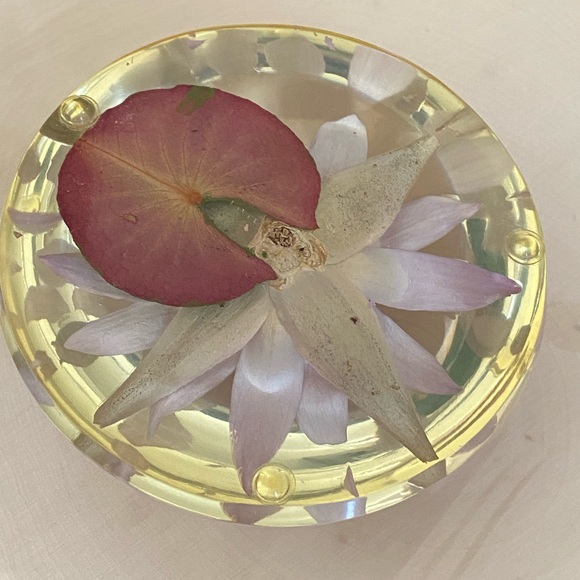 Vintage Lucite Dried Flower Domed Desk Paperweight Clear Plastic Acrylic Decor - Picture 10 of 14